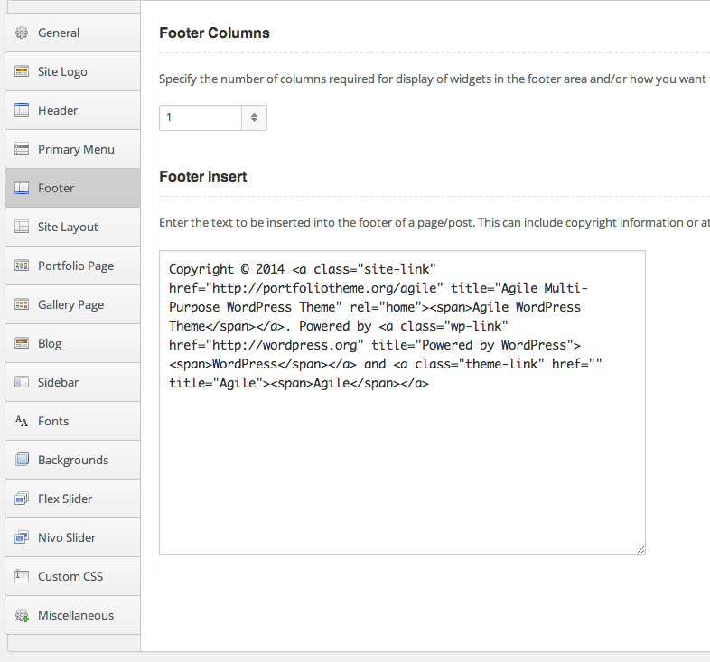 Footer Option Panel