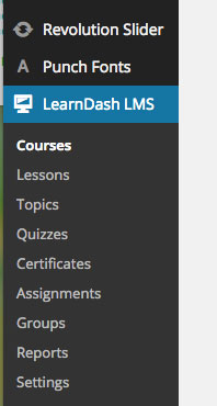Custom Sidebars for LearnDash